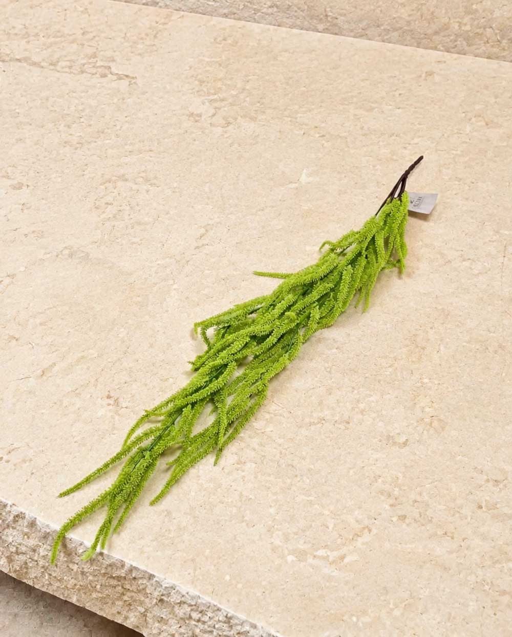 אמרנטוס ארוך ירוק