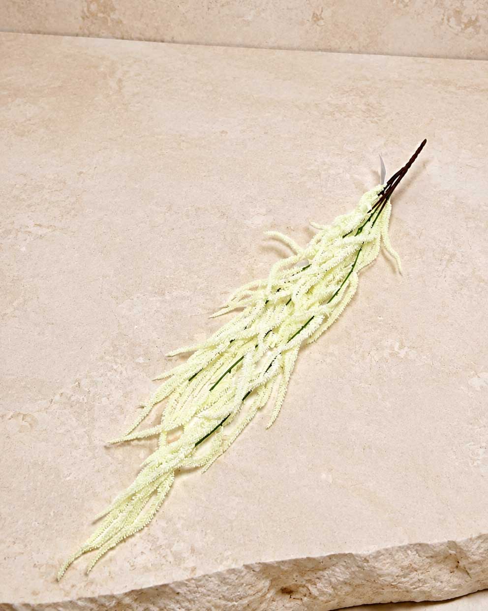 אמרנטוס ארוך שמנת